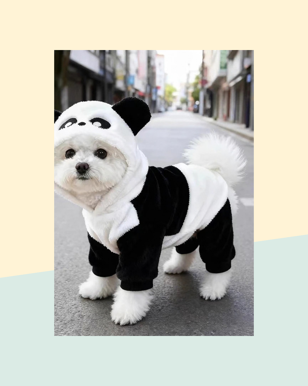 Déguisement Panda pour Animal de Compagnie - visuel premium