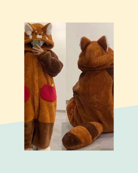 Combinaison Pyjama Raton Laveur Adulte - photo premium Panoplia