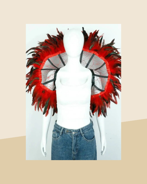 Cape Gothique en Plumes Noires - photo premium Panoplia