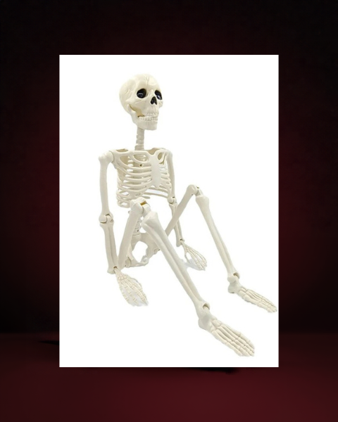Décoration squelette articulé Halloween - photo premium Panoplia