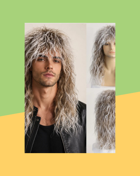 Perruque Rock Années 70-80 Longue Bouclée Homme - photo premium Panoplia