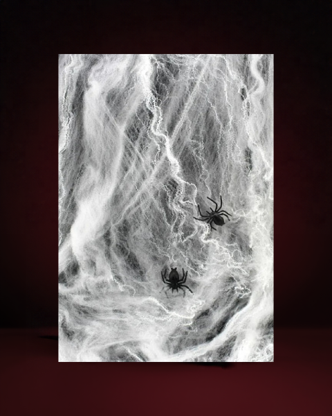 Toile d'araignée décorative artificiel blanc Halloween - photo premium Panoplia