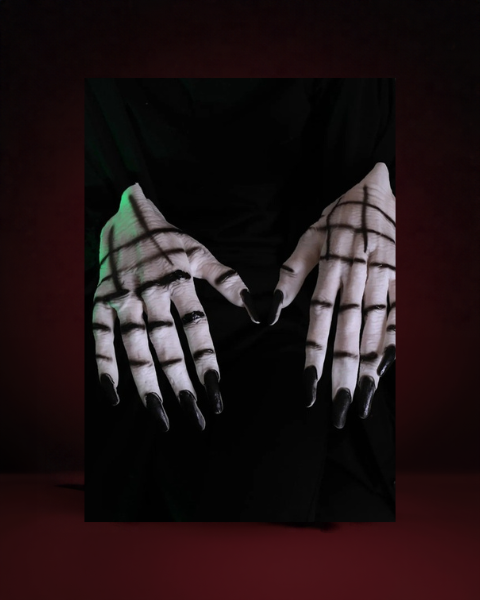 Gants Griffes de Monstre - photo premium Panoplia