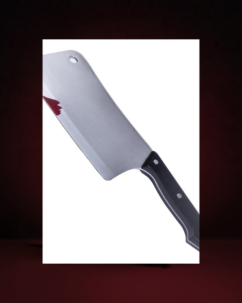 Couteau Ensanglanté 30 cm Réaliste en Plastique - photo premium Panoplia