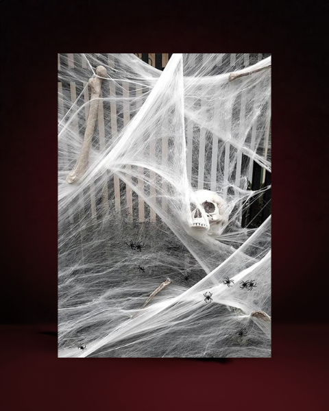 Toile d'araignée décorative blanche Halloween 2 - photo premium Panoplia