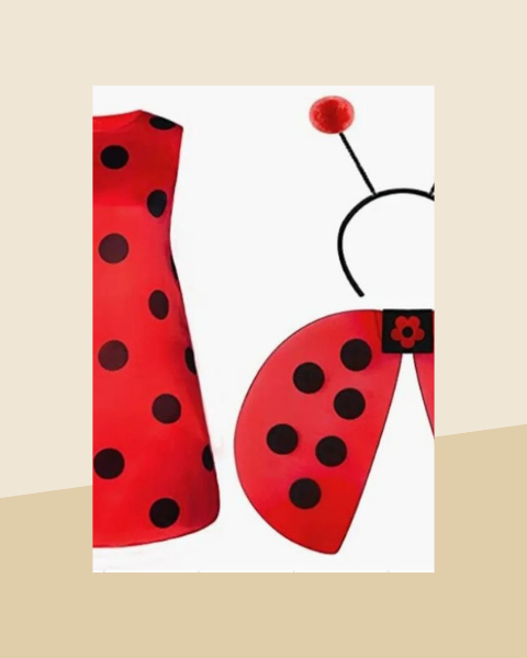 Déguisement Coccinelle Femme avec Ailes - photo premium Panoplia