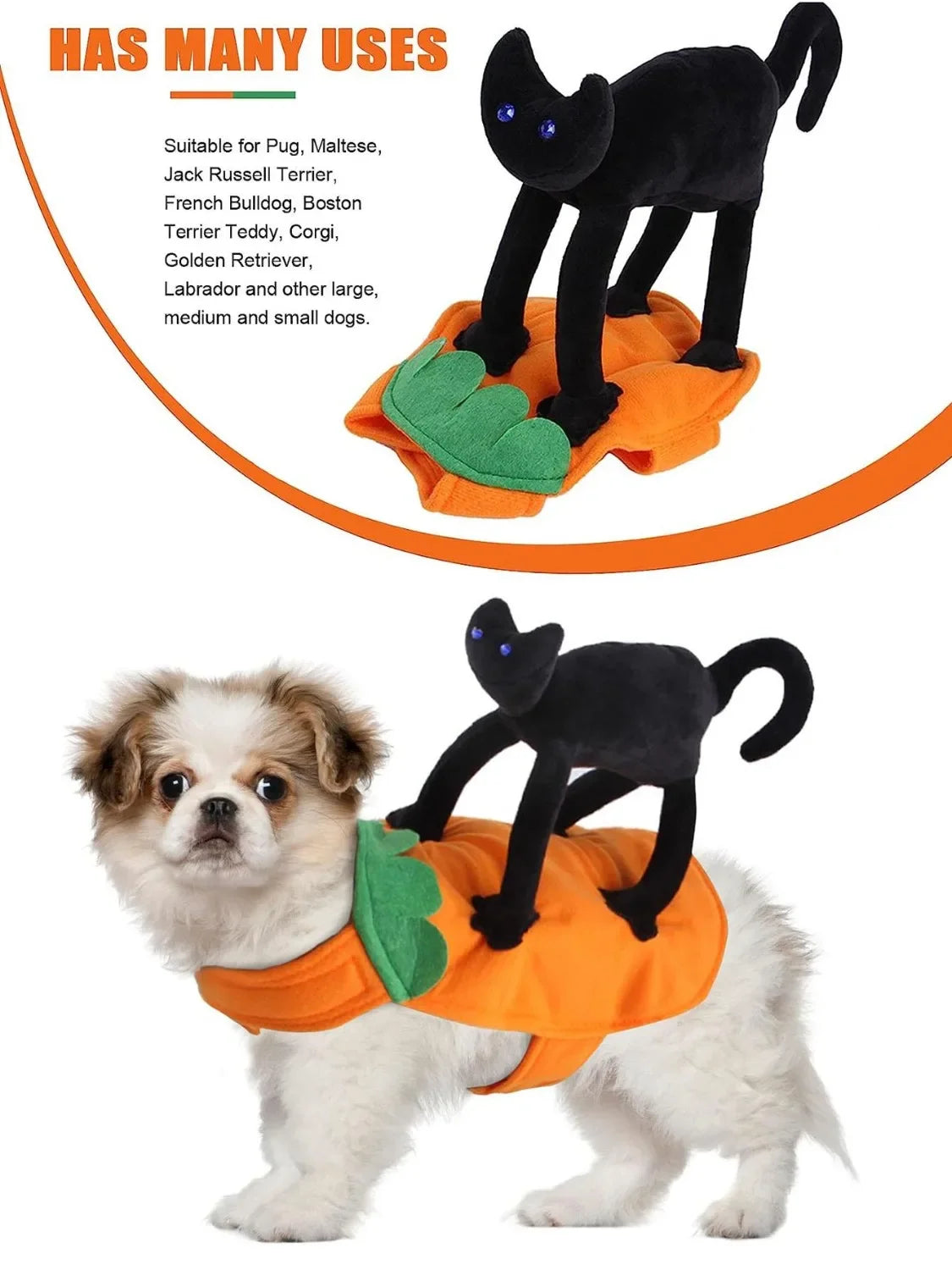 Déguisement Citrouille pour Animal de Compagnie – vue 4