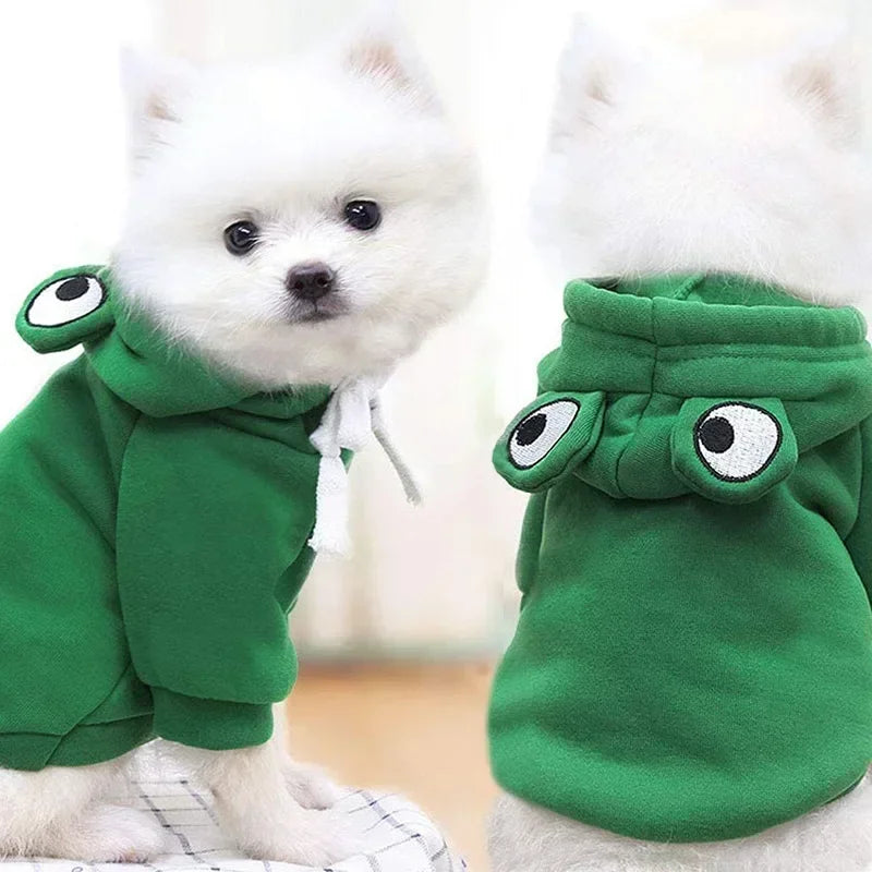 Déguisement Grenouille pour Animal de Compagnie