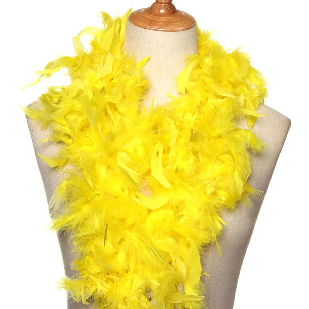 Boa en Plumes 2 m – Accessoire de Déguisement – vue 9