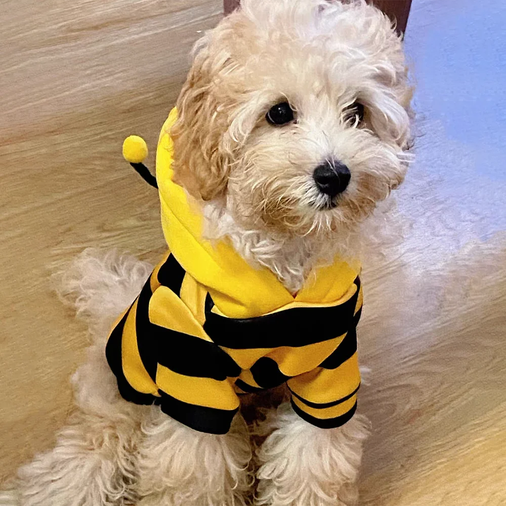Sweat à Capuche Abeille pour Chien ou Chat – vue 3
