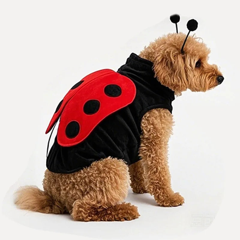 Déguisement Coccinelle pour Chien – Ailes et Antennes – vue 2