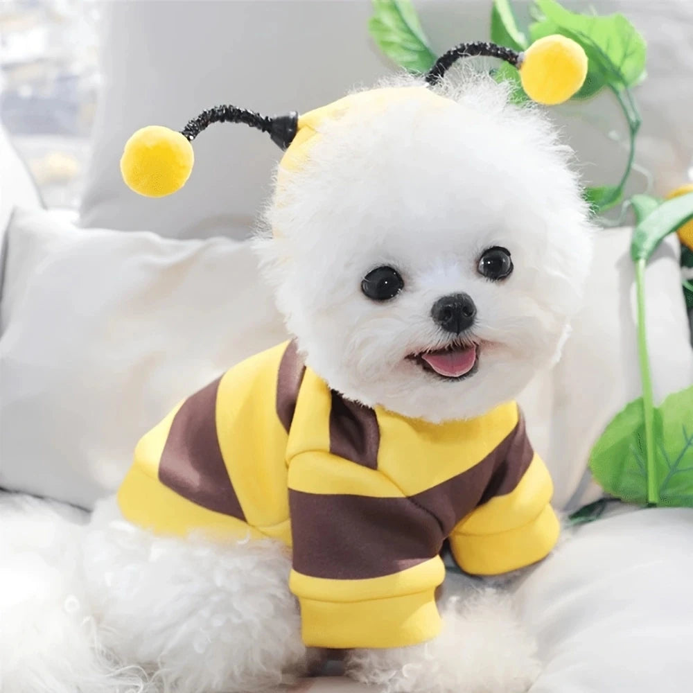 Sweat à Capuche Abeille pour Chien ou Chat – vue 4