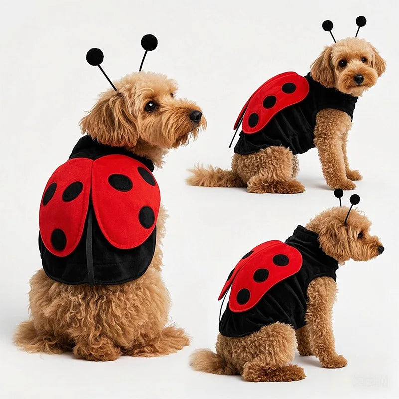 Déguisement Coccinelle pour Chien – Ailes et Antennes