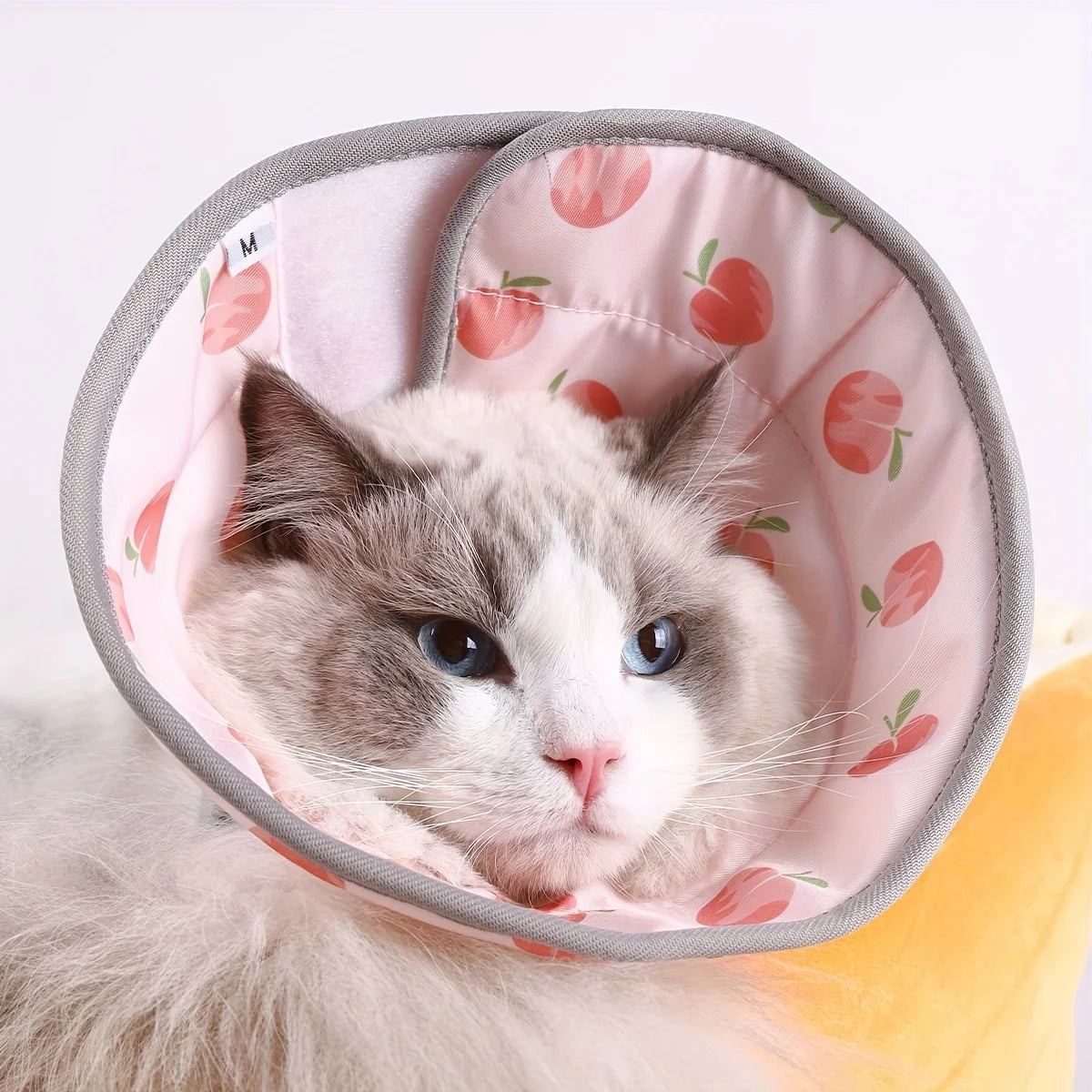 Collerette Élisabéthaine Déguisement pour Animal