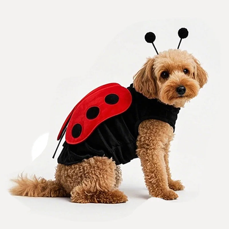 Déguisement Coccinelle pour Chien – Ailes et Antennes – vue 3