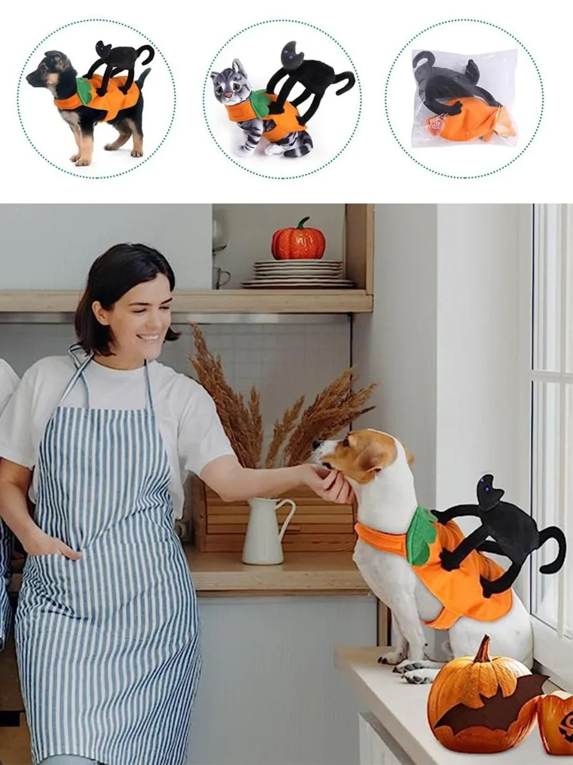 Déguisement Citrouille pour Animal de Compagnie – vue 2