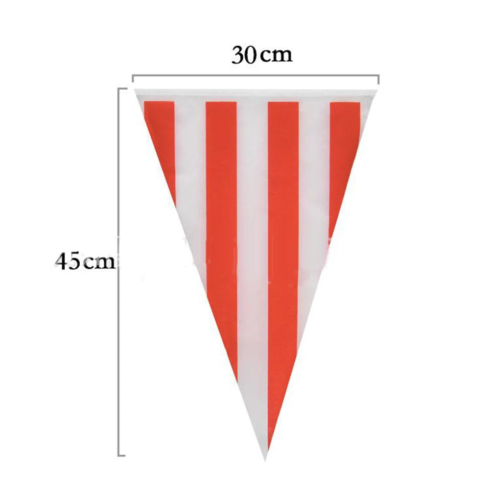 Fanions triangulaires blancs Carnaval – vue 6