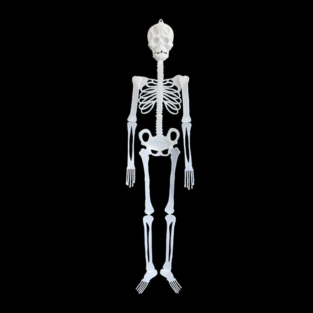 Squelette Phosphorescent à Suspendre – 30 ou 90 cm – vue 4