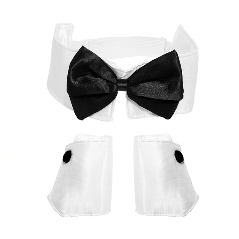 Kit Lapin Sexy – Oreilles, Nœud Papillon, Queue et Gants – vue 3