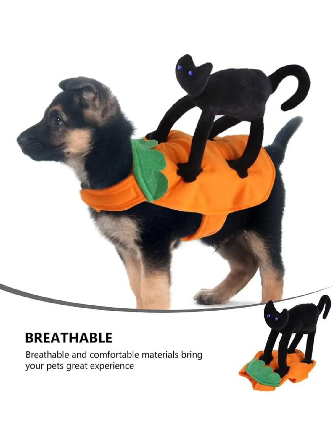 Déguisement Citrouille pour Animal de Compagnie – vue 3