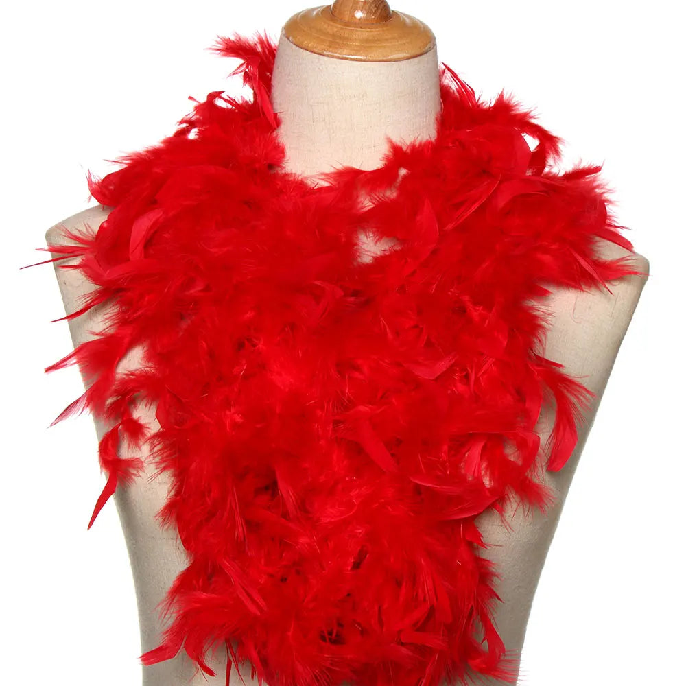 Boa en Plumes 2 m – Accessoire de Déguisement – vue 10