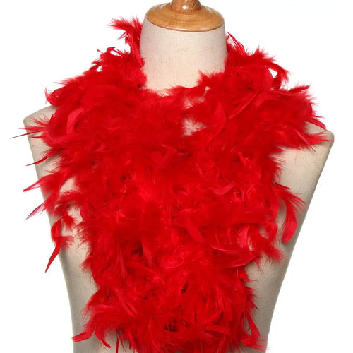 Boa en Plumes 2 m – Accessoire de Déguisement